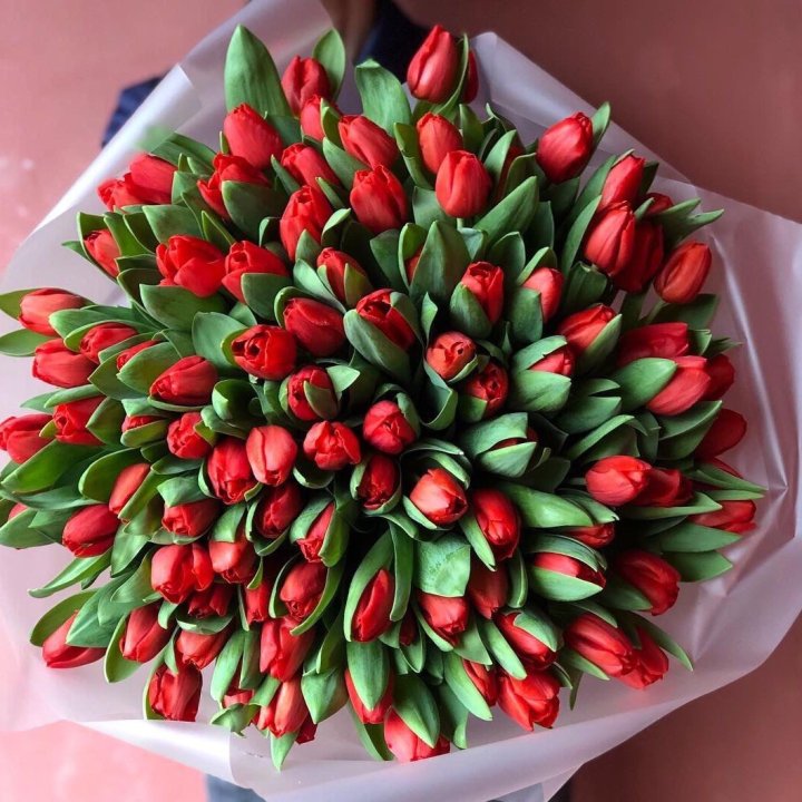 101 красный тюльпан в Дзержинске